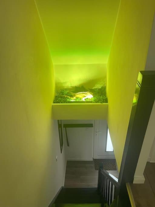 Gryt - Xxl - Naehe Nordsee Holiday home